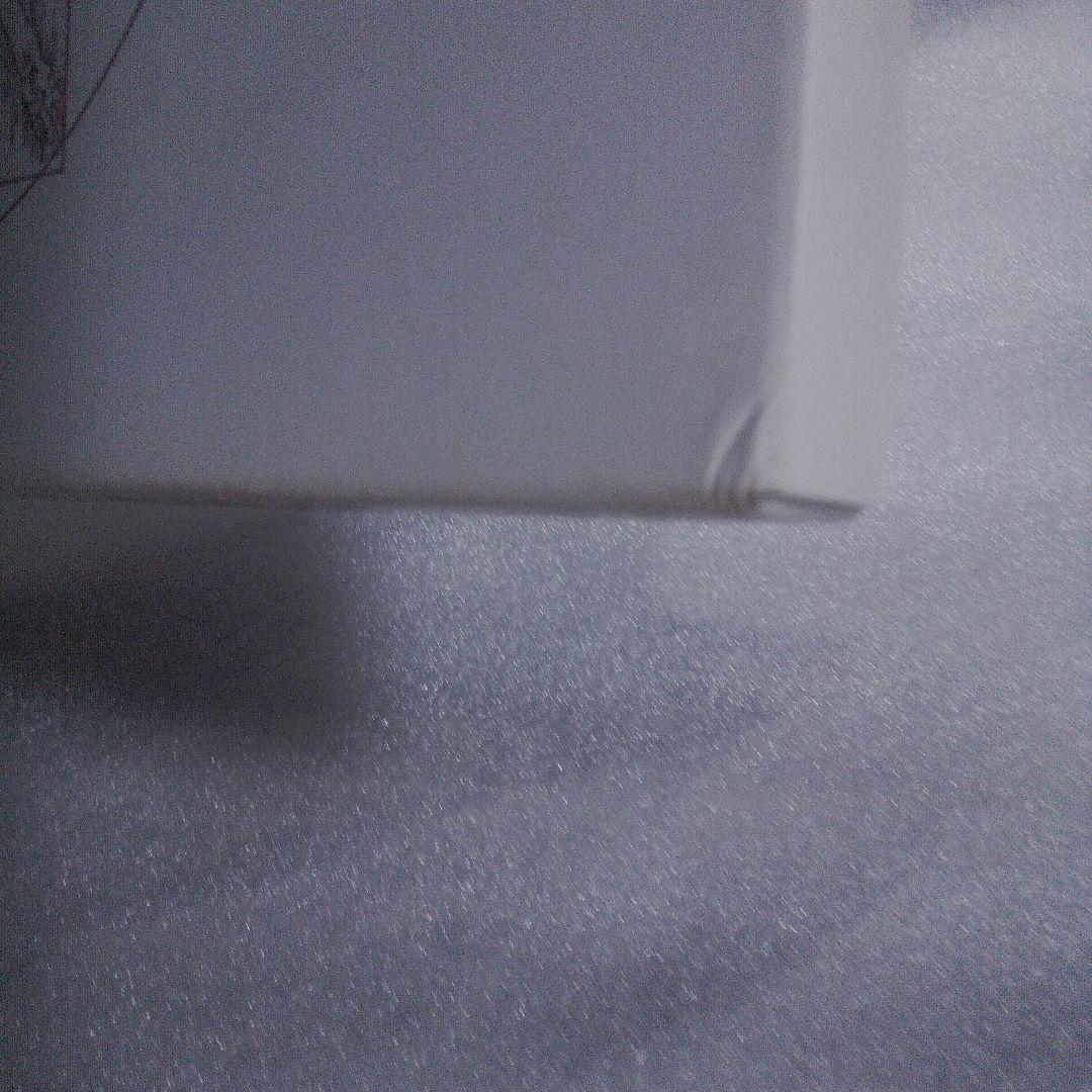 日本女性の外性器