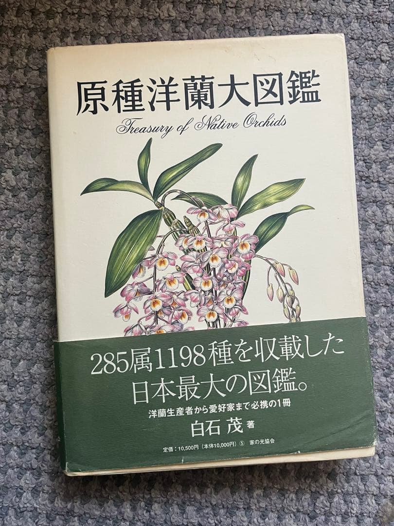 原種洋蘭大図鑑 Treasury of Native Orchids 原種洋蘭大図鑑 | 白石 茂 |本 | 通販 | Amazon