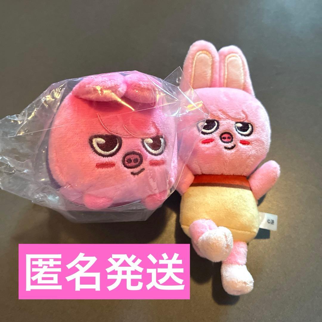 StrayKids チャンビン(DWAEKKI) ぬいぐるみ2種セット - メルカリ