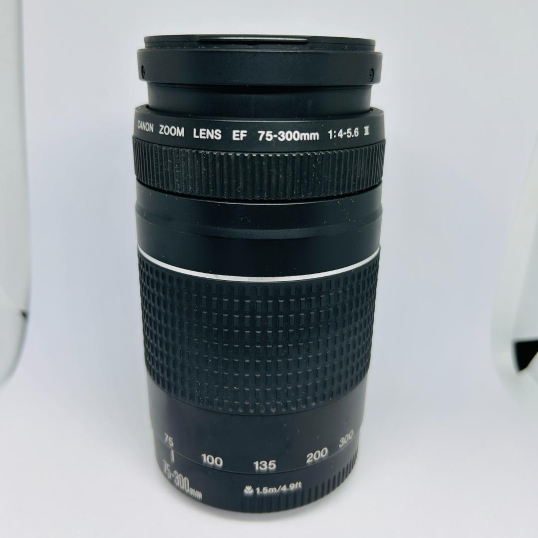 Canon EF 75-300mm f/4-5.6 III 望遠ズームレンズ