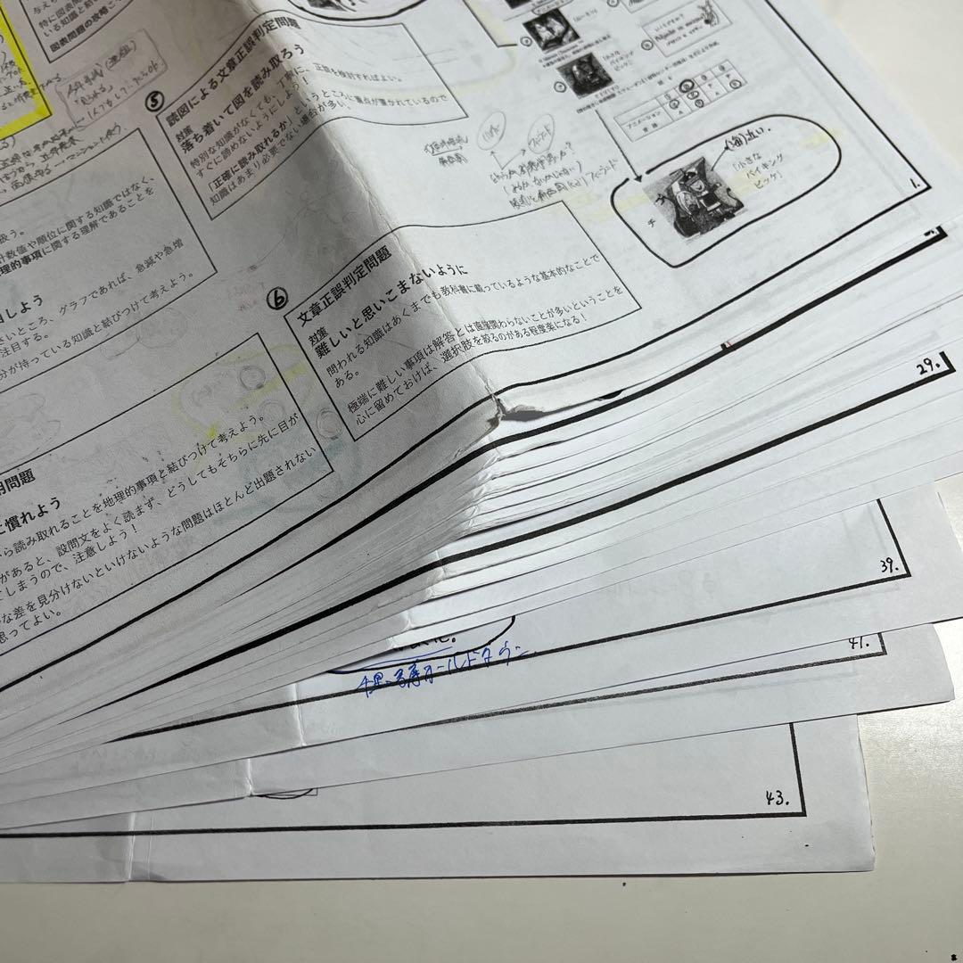 岡田了一郎先生】駿台 地理テキスト 解説プリント付き - メルカリ