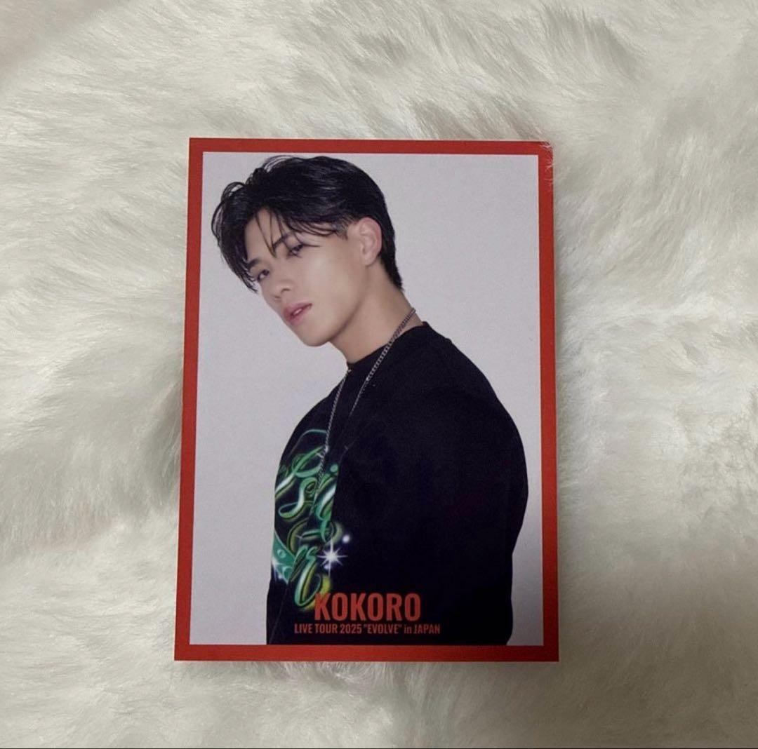 小波津志 フォトカード EVOLVE - メルカリ