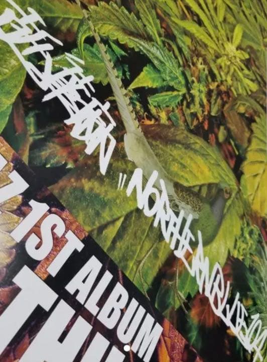 舐達麻Northern Blue 104 非売品ポスター - メルカリ