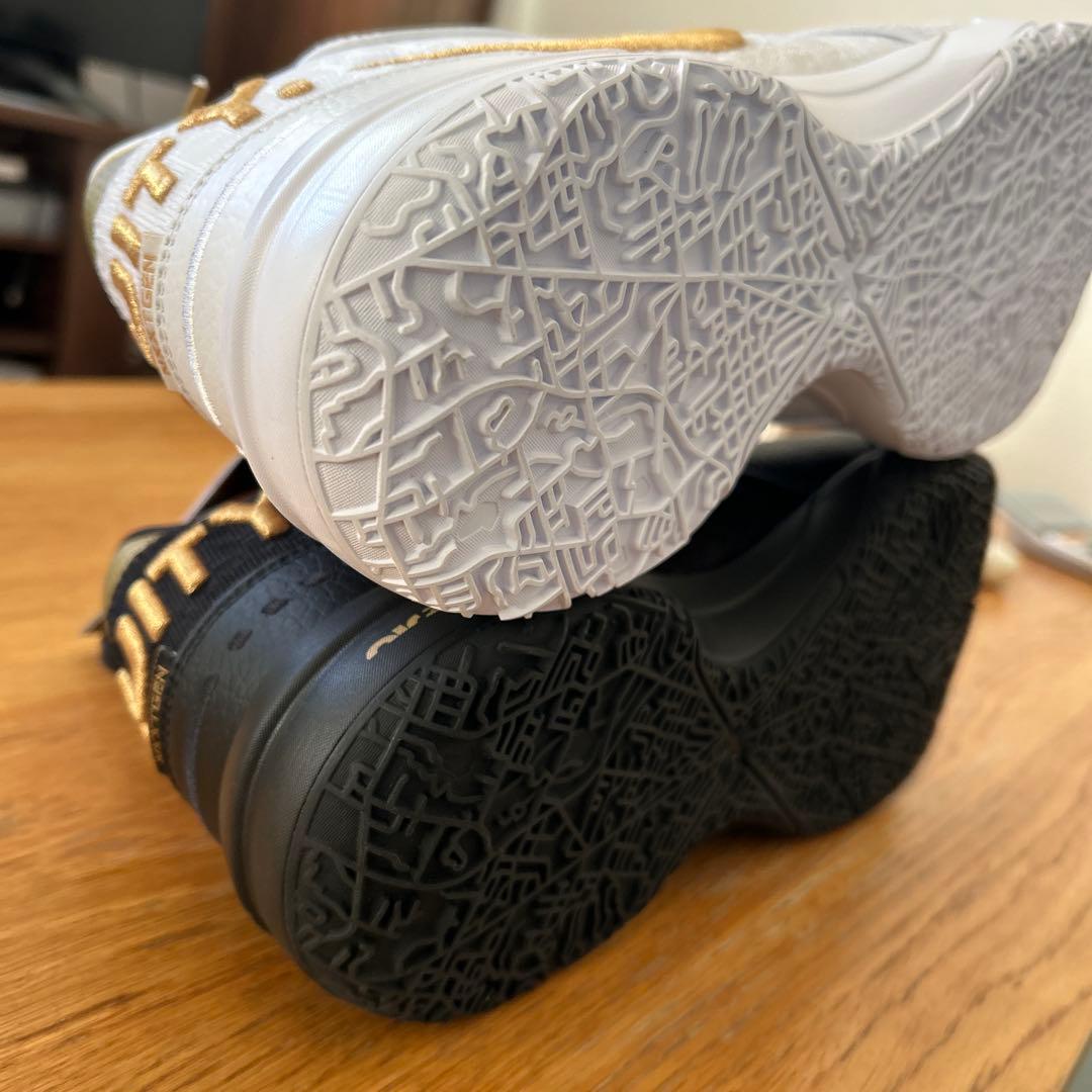 シューズ(男性用) NIKE LEBRON NXXT GEN AMPD EP Nike Lebron NXXT Gen AMPD EP Basketball Shoes 'Field Purple