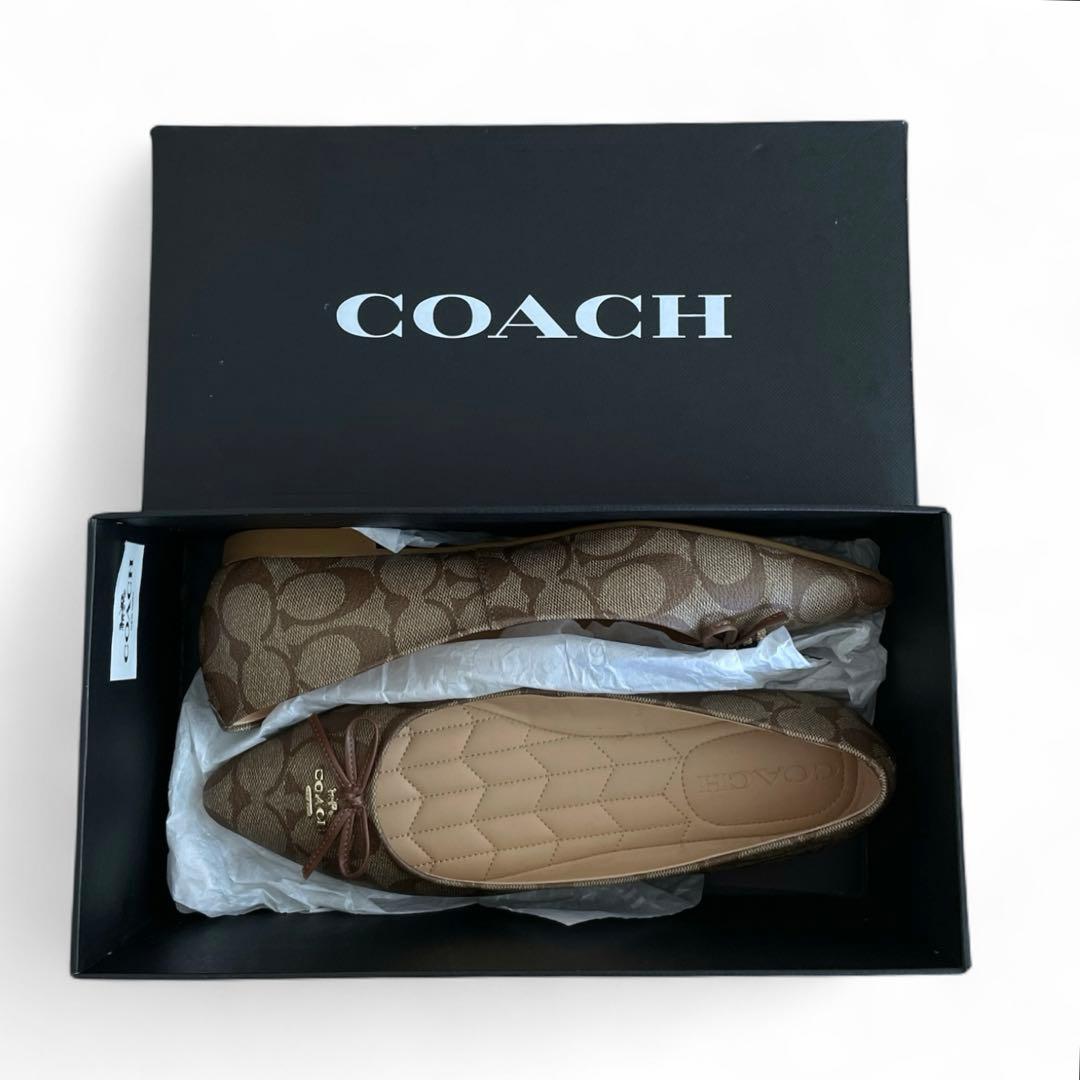 極美品 コーチ シグネチャー フラットシューズ パンプス リボン ロゴ