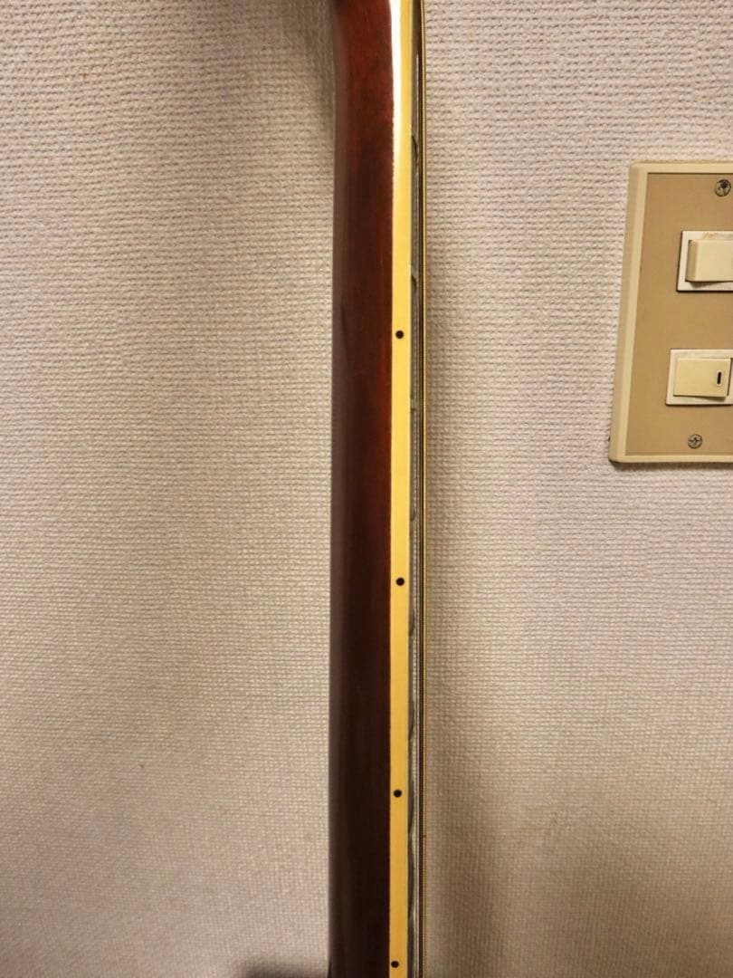 Elite Takamine TW-25 アコースティックギターの通販はau PAY