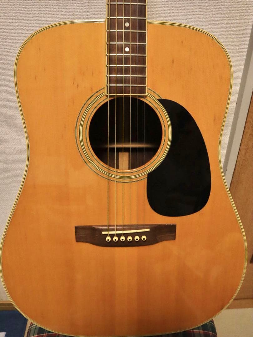 Elite Takamine TW-25 アコースティックギターの通販はau PAY