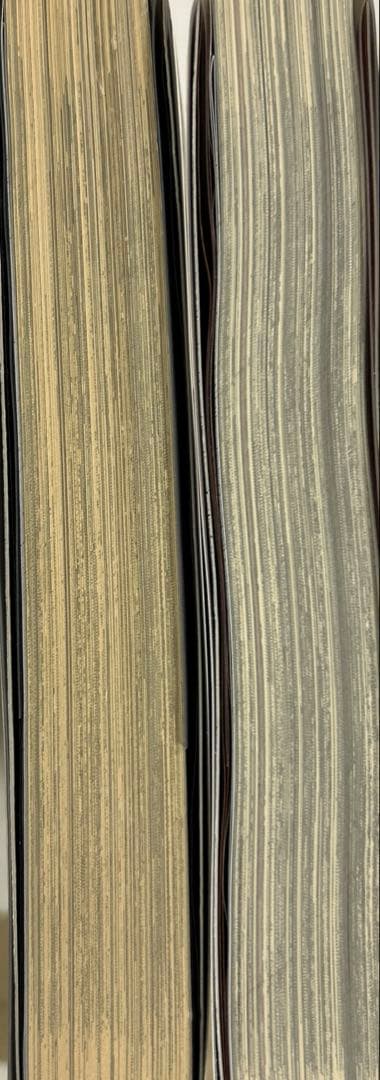 Bastard!! : 暗黒の破壊神 : 完全版 vol.7,8巻 2冊セット