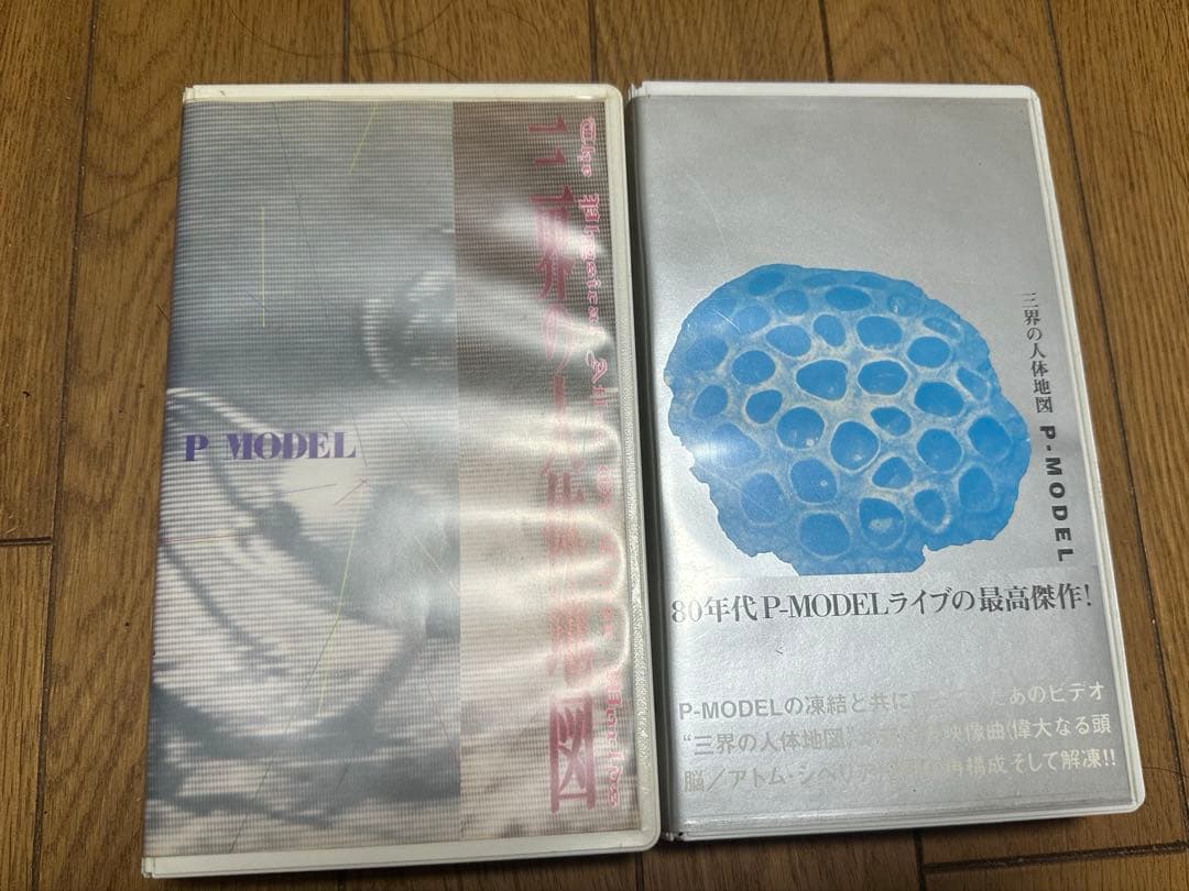 P-MODEL 三界の人体地図 VHS - メルカリ