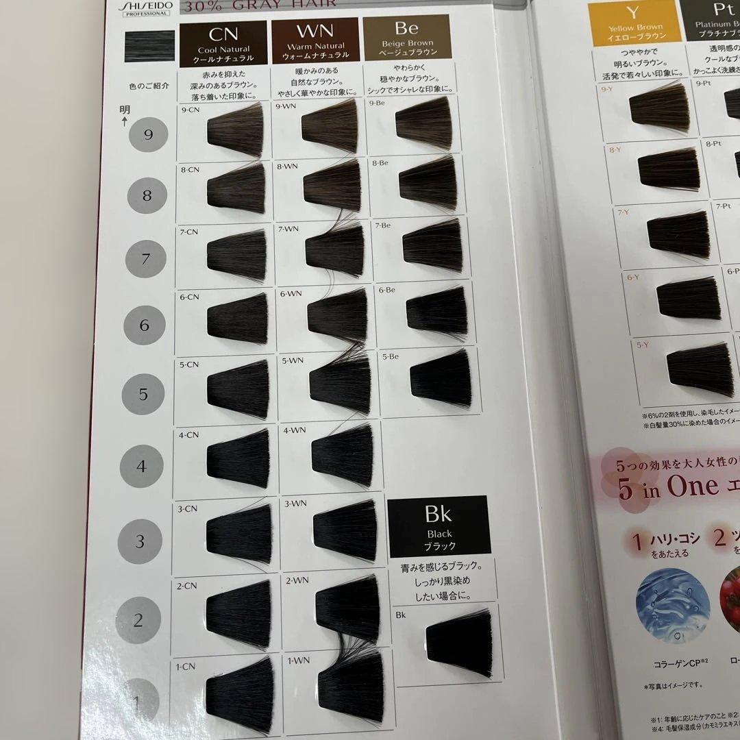 資生堂 ディアニスト エクラ 5本セット新品未使用 - メルカリ