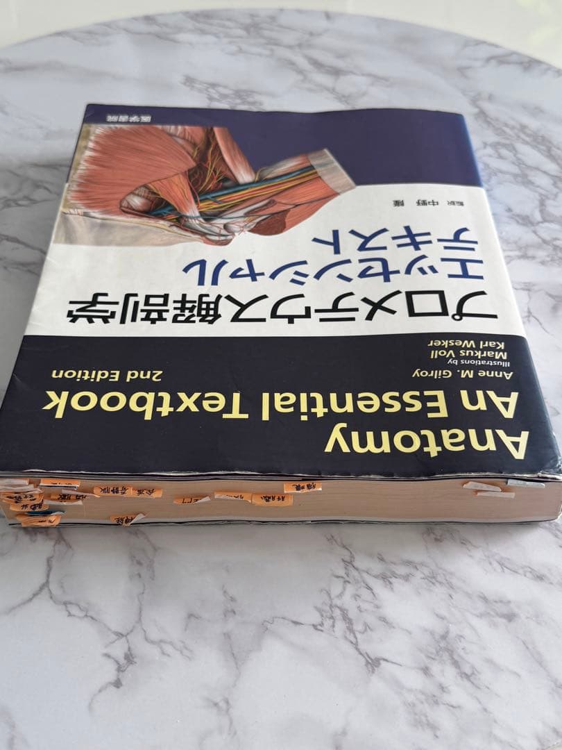 プロメテウス解剖学エッセンシャルテキスト 2版 - メルカリ
