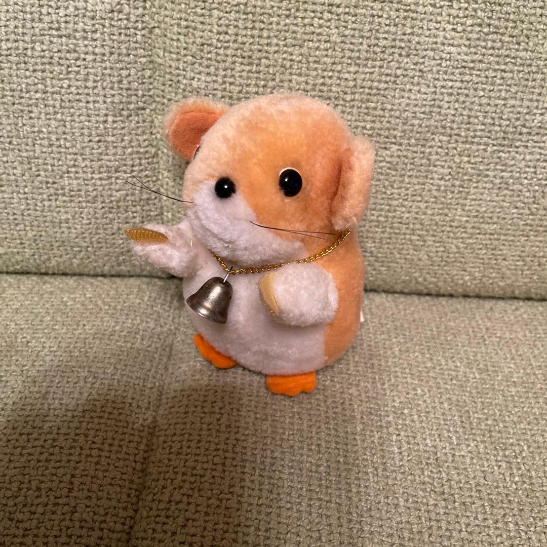 南の島のルーシー✨わんぱくモッシュ - メルカリ