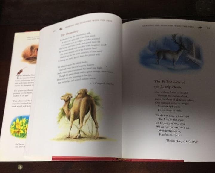 能登地震寄付 マクミラン児童詩集 英語