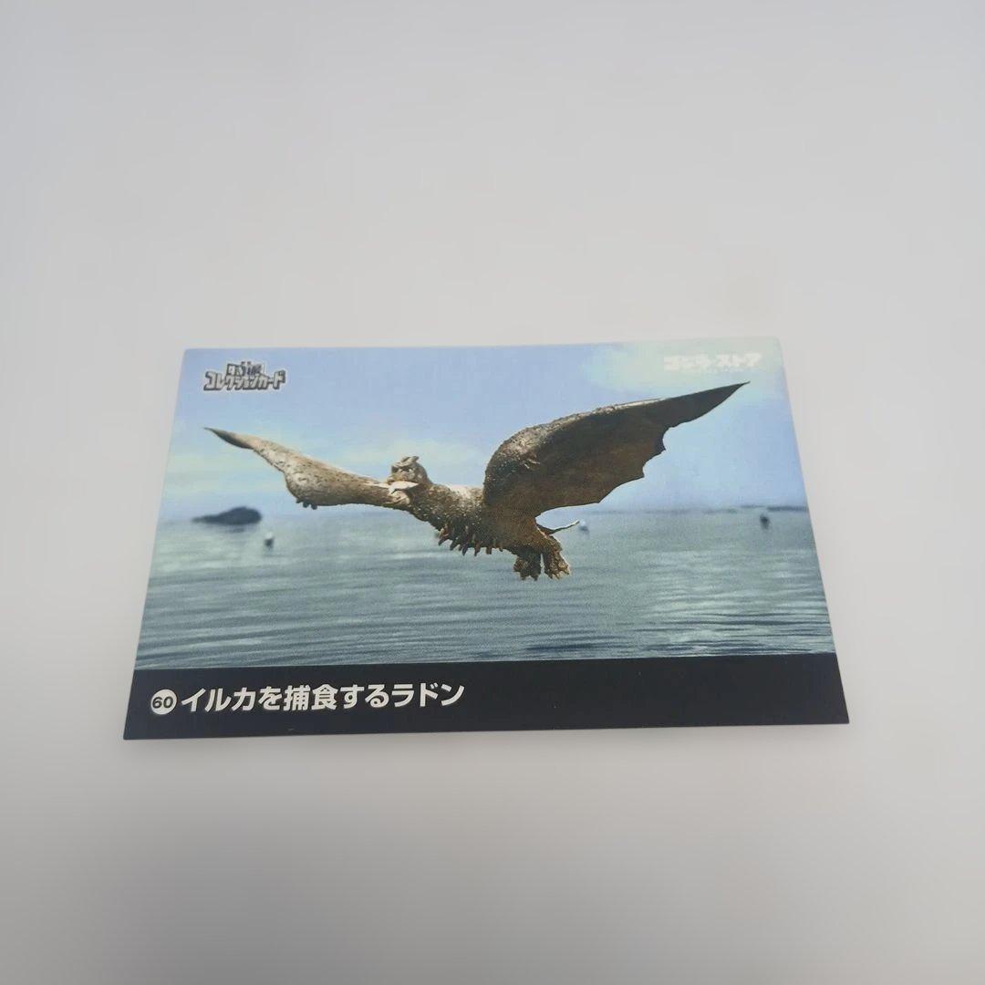 ゴジラ（2023） ジャパンゴジラ 4種セット 桜カラー、富士山、墨絵