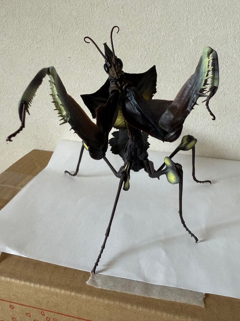 シ*ン様 いきもの大図鑑アドバンス ニセハナマオウカマキリ