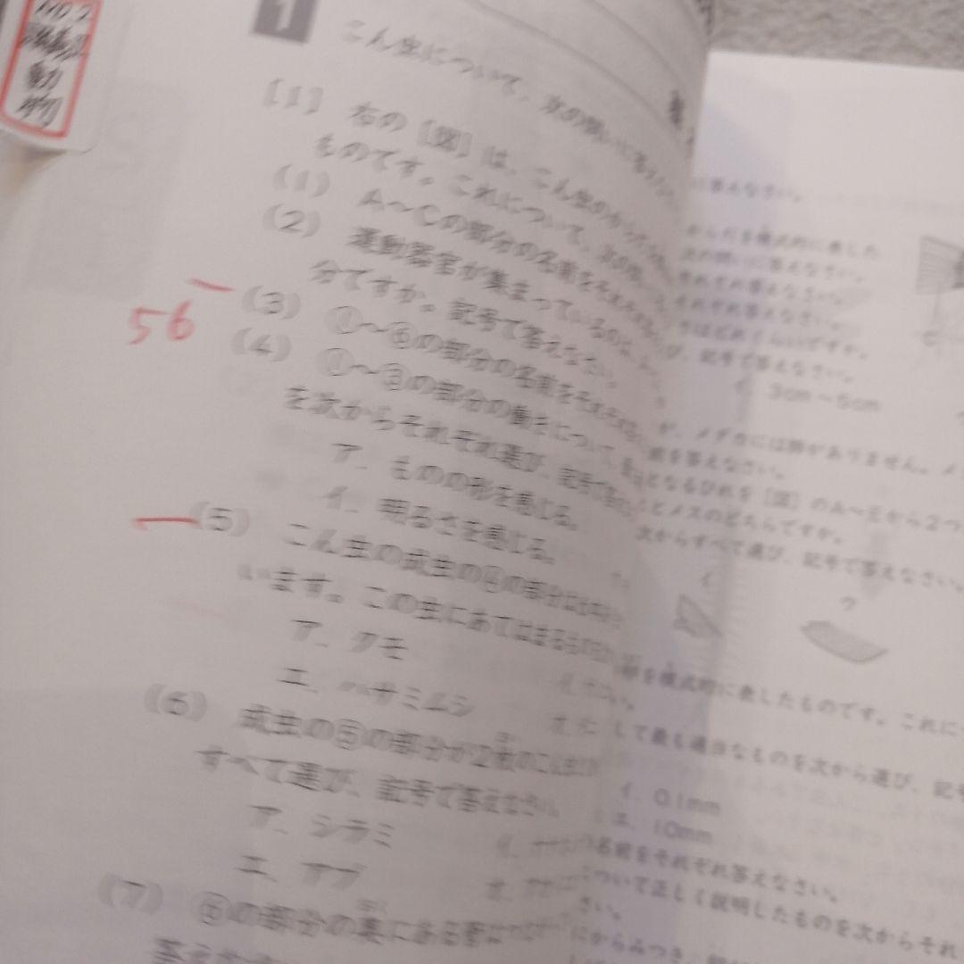 浜学園 2025年度 春期講習 理科 6年生 - メルカリ