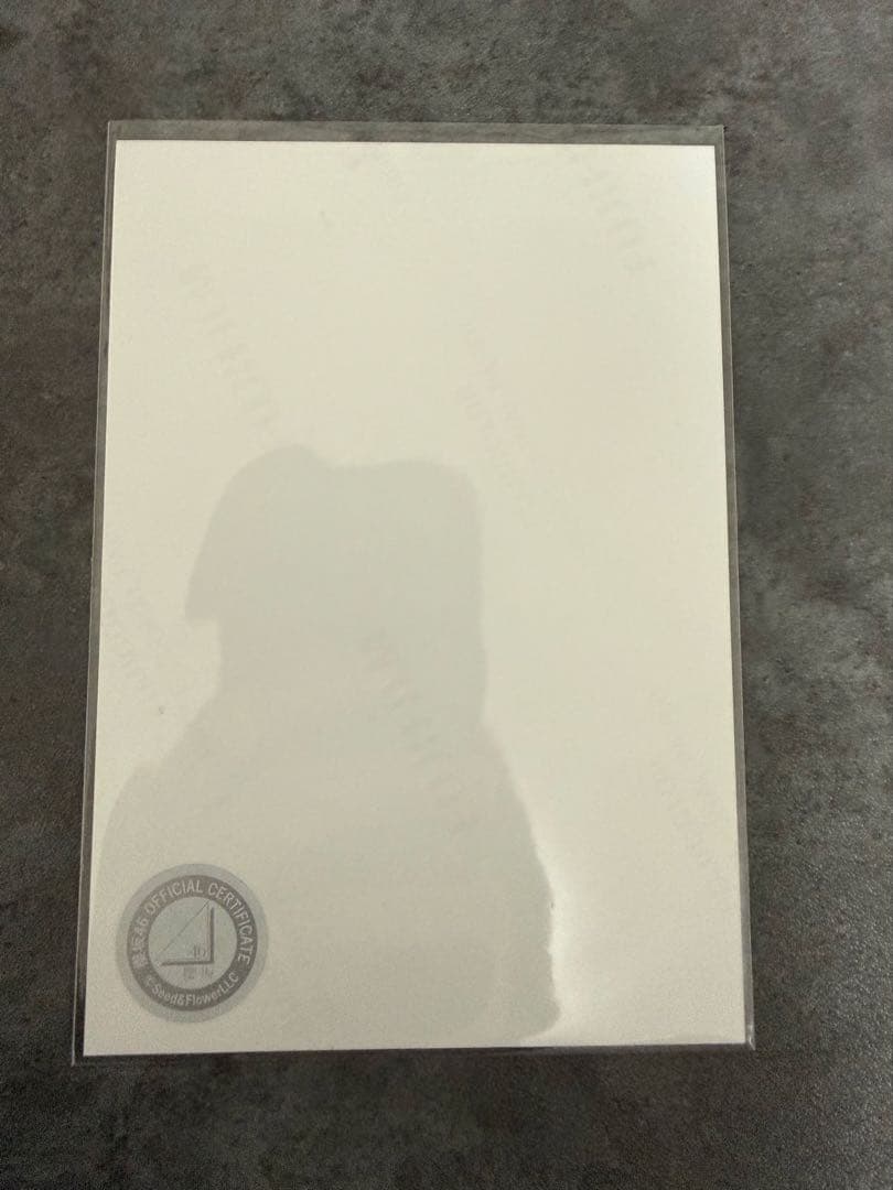 櫻坂46森田ひかる 生写真 直筆 サイン ヒキ 4th Anniversary - メルカリ