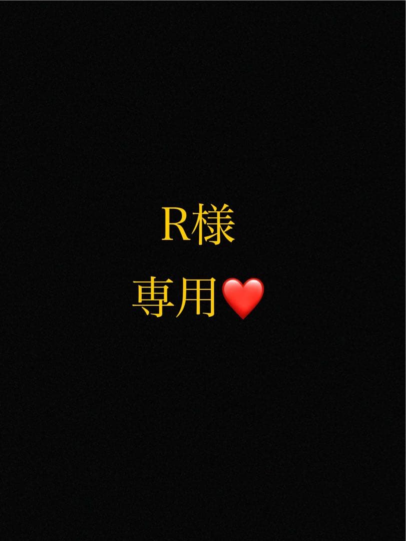 Rページ NINJA ZX-4R SE('23～)・ZX-4RR KRT EDITION('23～)/40thANNIVERSARY