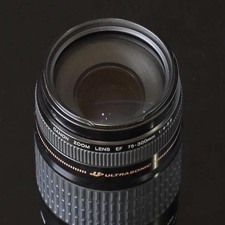 美品CANON純正定番望遠レンズEF75-300mm f/4-5:6 USM搭載