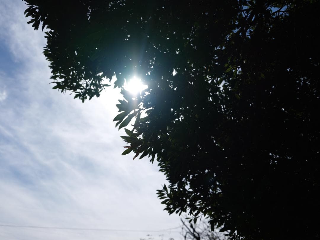 中判カメラの革命児！Fujifilm GF35-70mmF4.5-5.6 GFX