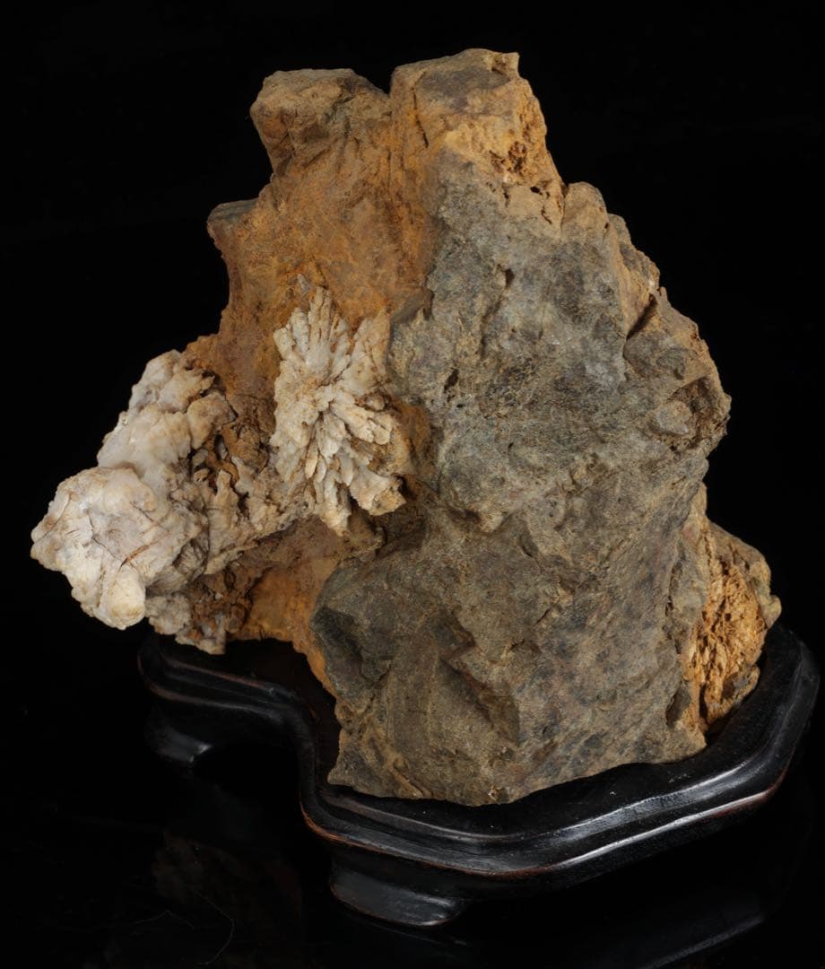 は*よ様 根尾川 菊花石 白菊 紋石 台座 共箱付 1.2kg 鑑賞石 原石 盆