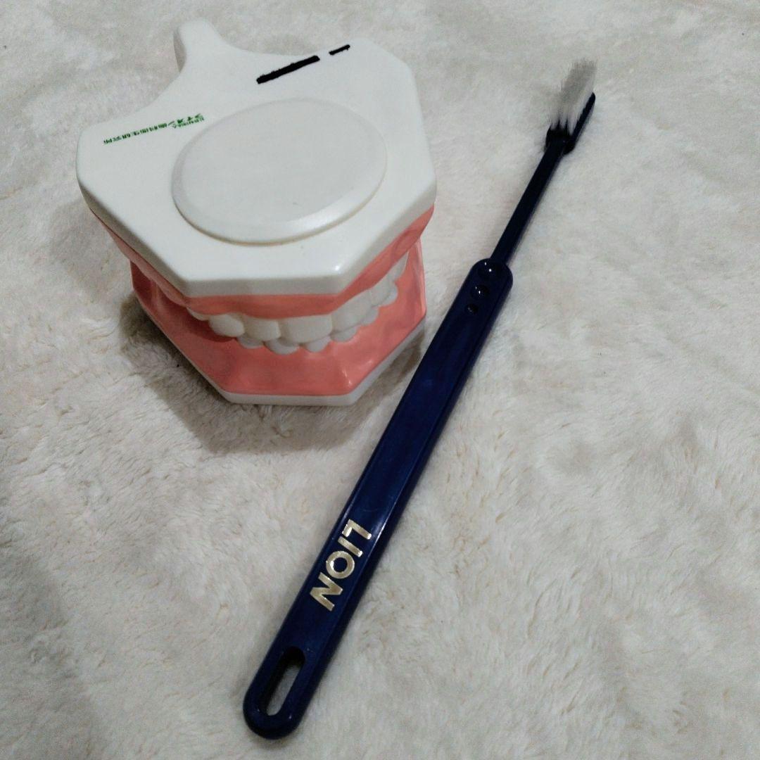 最終価格　LION　歯磨き指導用模型・ブラシ付き LION電動アシストブラシ｜製品ラインアップ｜ライオン