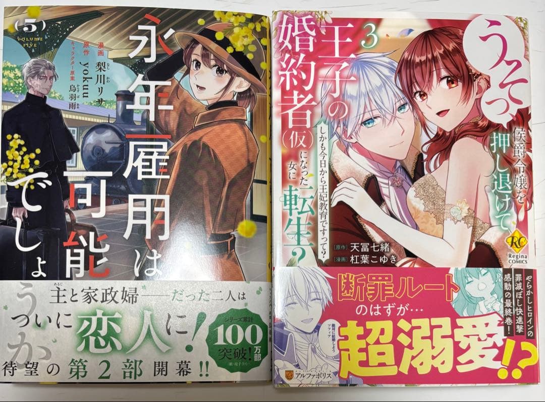 吸血鬼へ嫁入る日2 おまとめ専用