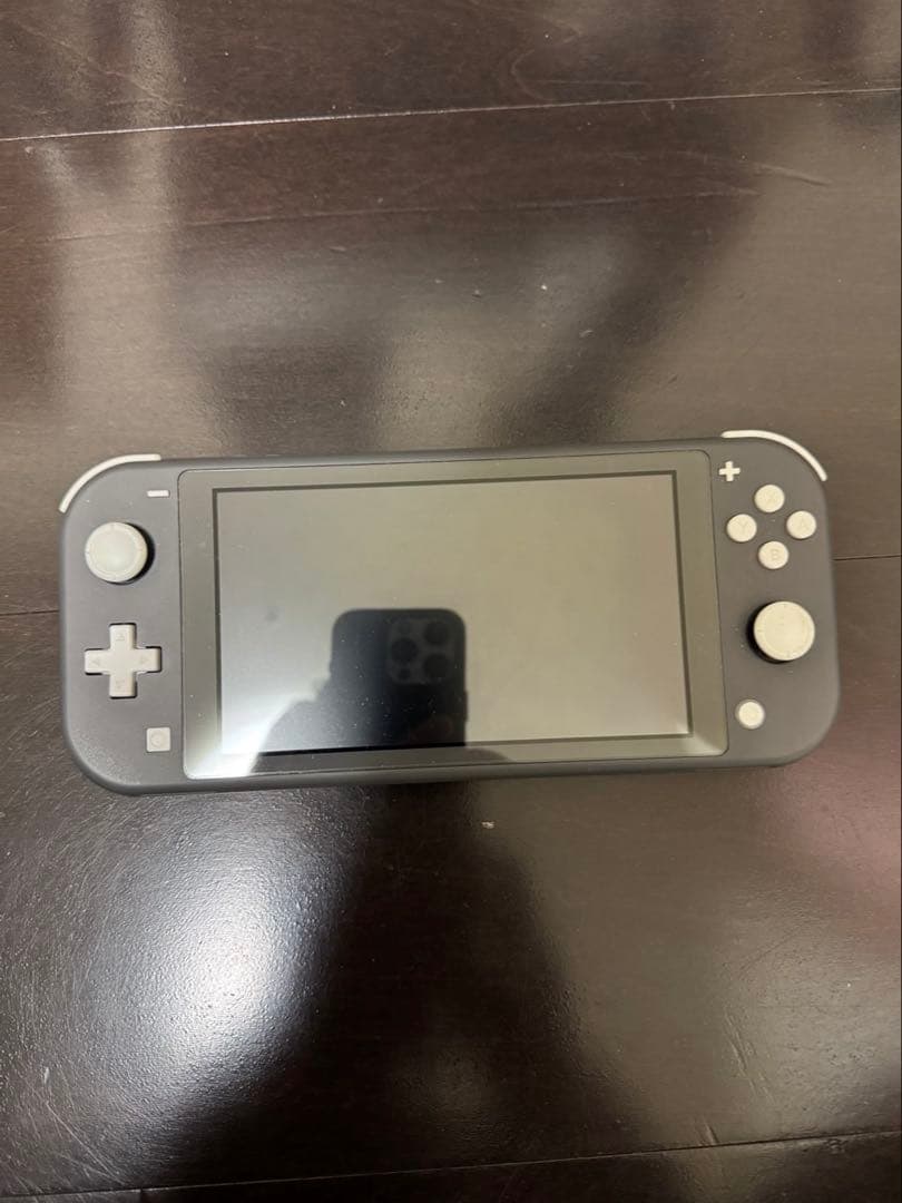 Switch ライト　ジャンク品　本体のみ Switchライト本体のみ グレー 液晶難あり 訳ありジャンク品 - メルカリ