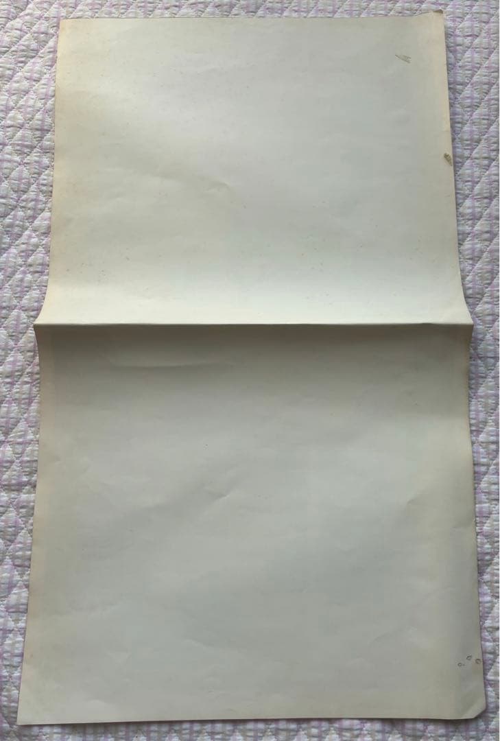 八代亜希 当時物 ポスター 池谷朗 - メルカリ