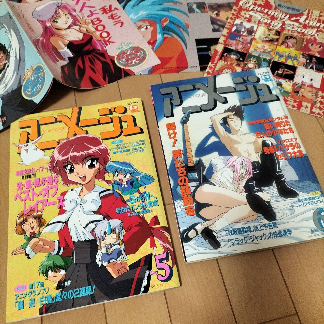 新品同様】アニメージュ〈12冊セット〉1995年1月号〜12月号 ふろく付き