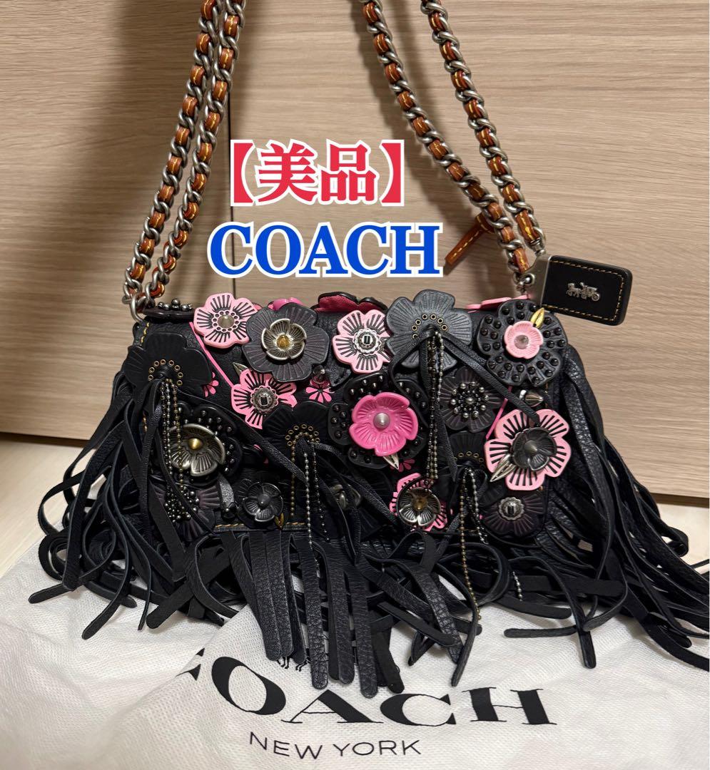 美品】COACH ティーローズ フリンジ ディンキー 3wayショルダーバッグ
