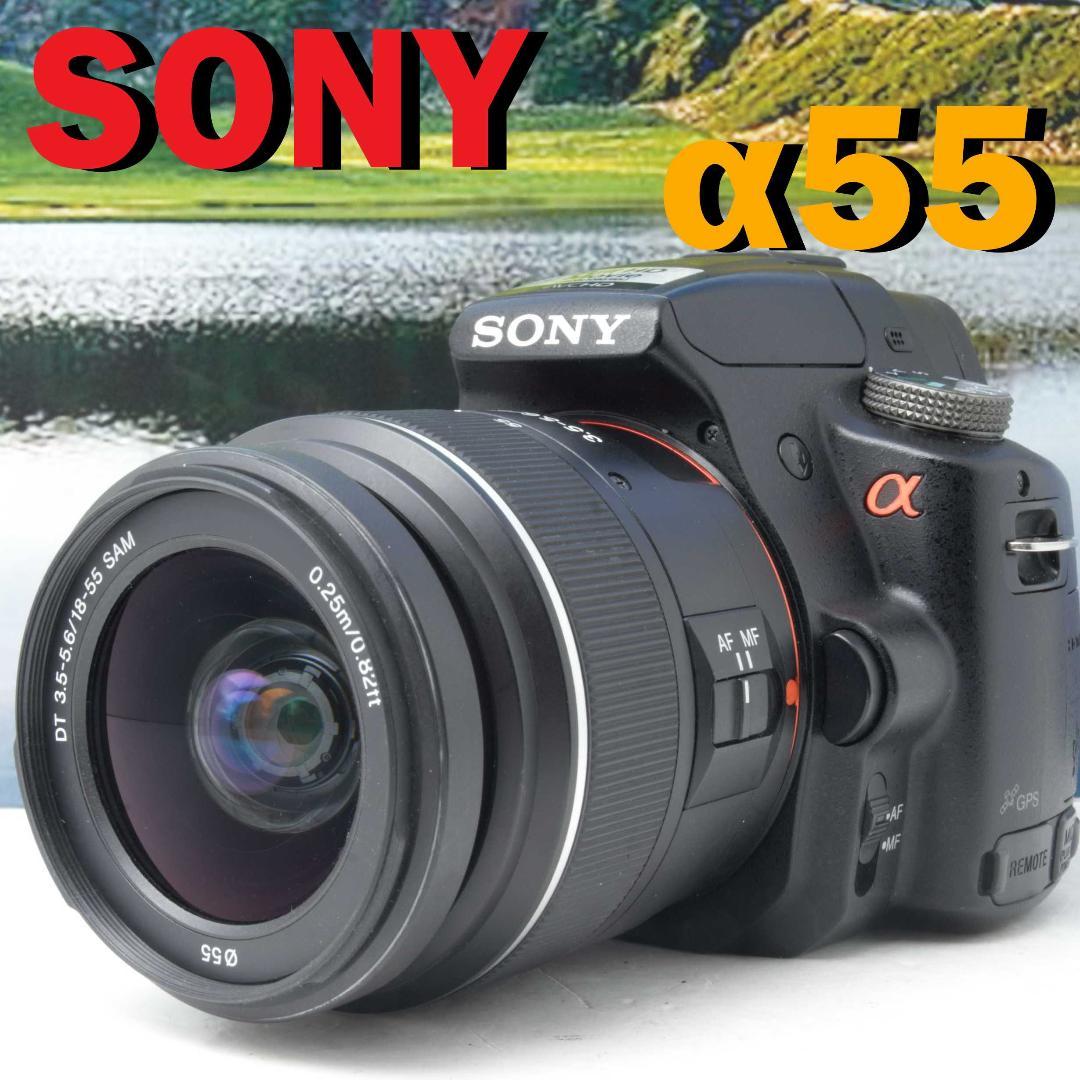SONY α55 レンズキット　ソニー　SLT-A55V SONY（ソニー） α55 SLT-A55V 標準・望遠ダブルズームセット 美品 高速