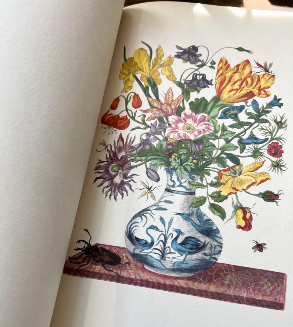 M.S. Merian お花図鑑 2冊 ヴィンテージ洋書 インゼル 初版1966