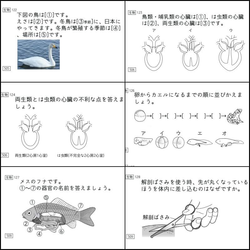 中学受験 暗記カード 理科 生物 サピックス 予習シリーズ コアプラス