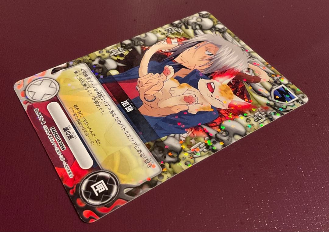 家庭教師ヒットマン REBORN リボーン 獄寺隼人 嵐猫 瓜 CCG - メルカリ