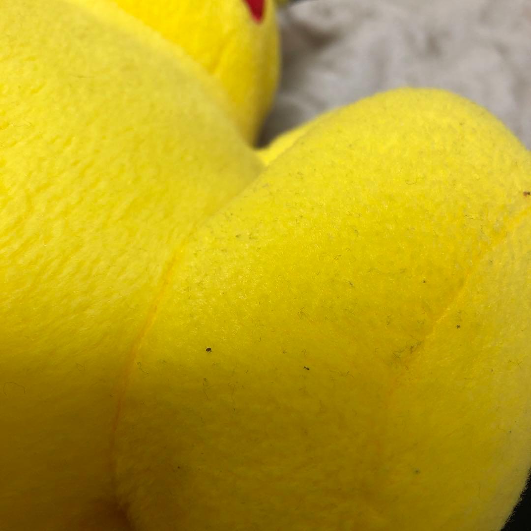 ポケモンセンター 愛知万博ポケパーク ポケモンドール ピカチュウ