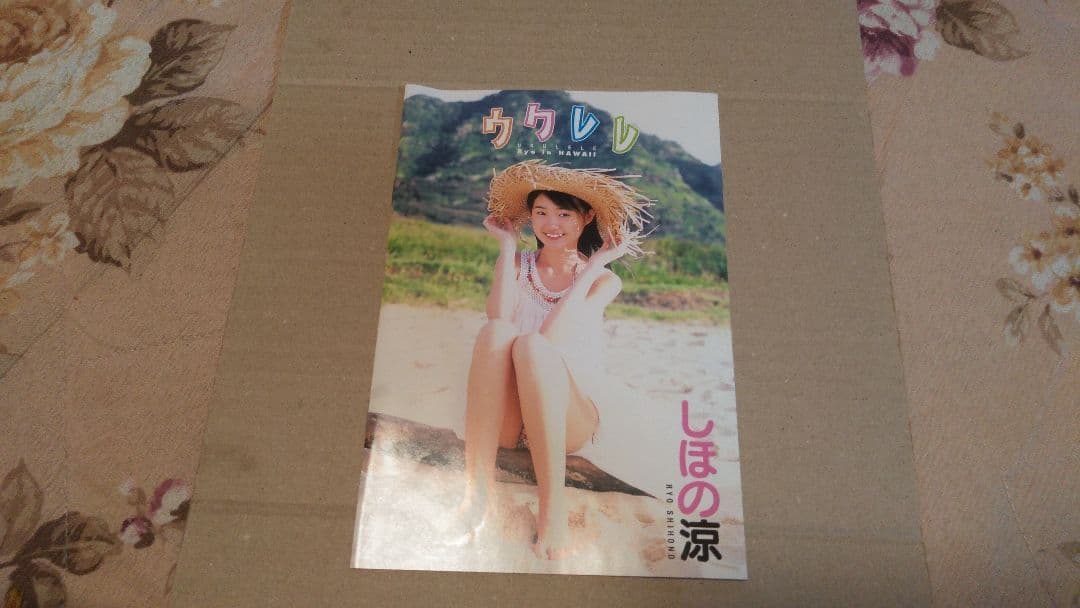 しほの涼　DVD　ブックレット　トレカ付き