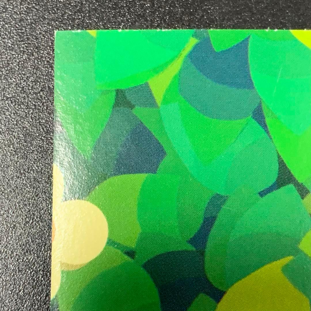 街へいこうよどうぶつの森 トップガム とたけけ - メルカリ