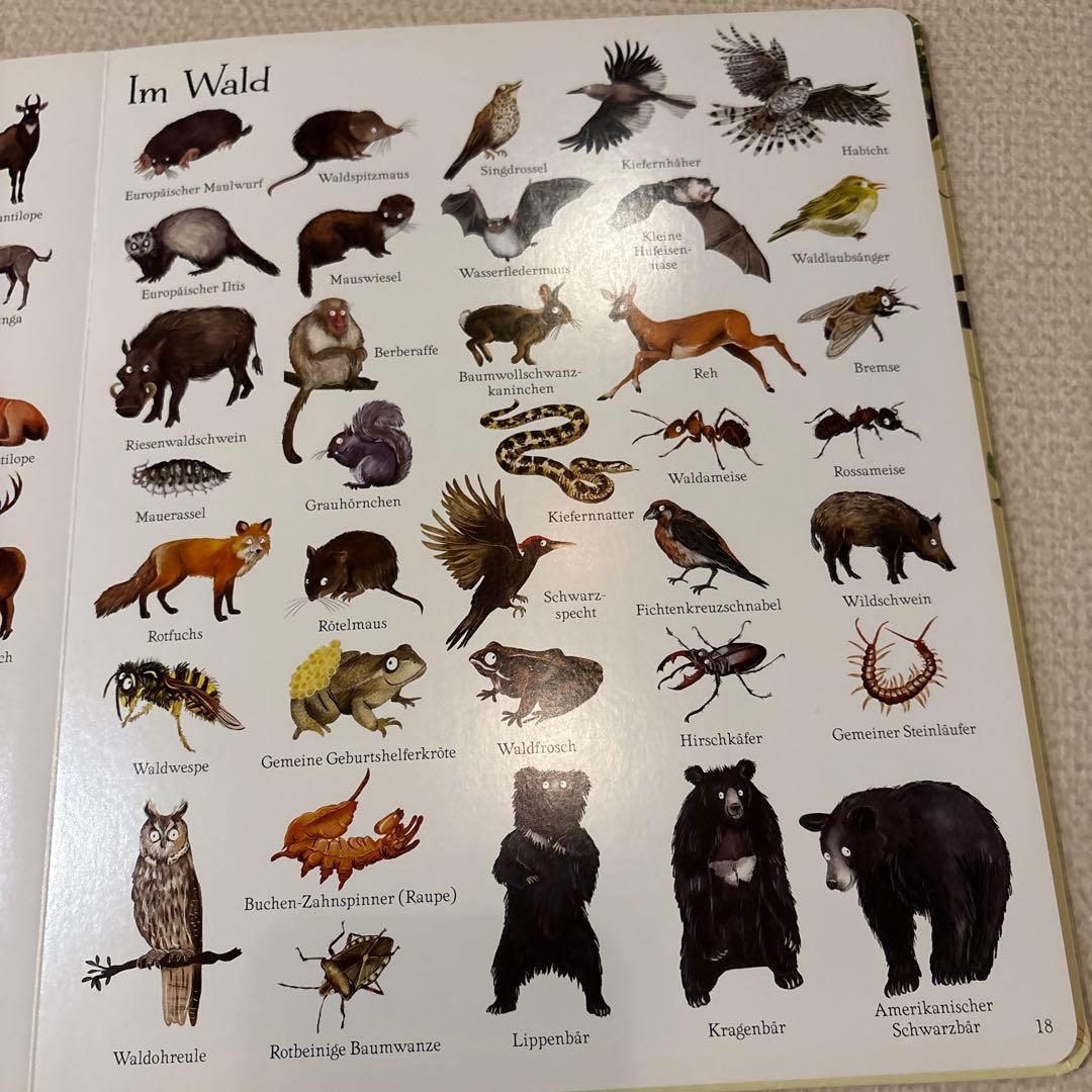 ドイツ語】Usborne絵本3冊セット 1000 たべもの のりもの どうぶつ