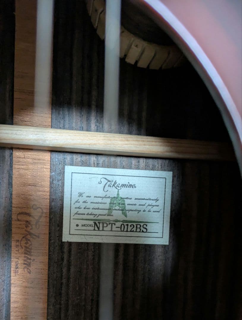 Takamine NPT-012BS【希少・名機】純正ハードケース付