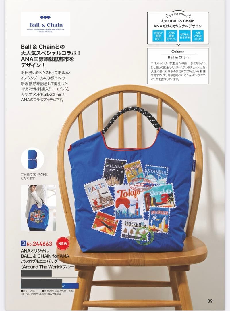 国際線・国内線セット】ボール&チェーンanaオリジナルエコバッグ