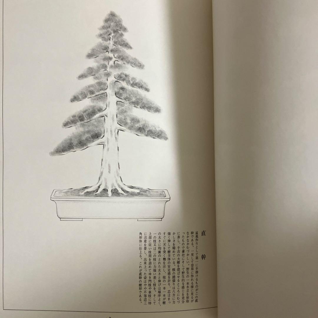 高等教範 盆栽の基本樹形 上下巻 中津千吉 - 趣味・スポーツ・実用販売 中