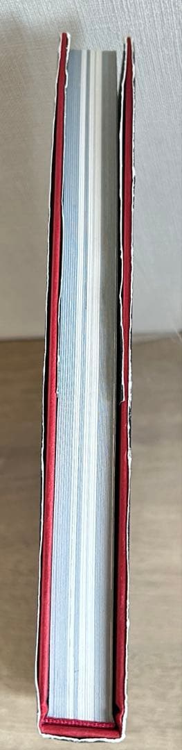 小島文美　画集　Santa Lilio Sangre　〜緋いユリ〜