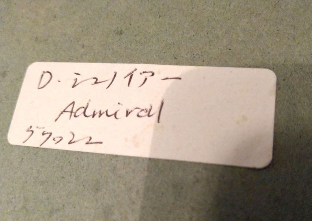 ダビッド シュノイヤー゜-”Admiral” 原画