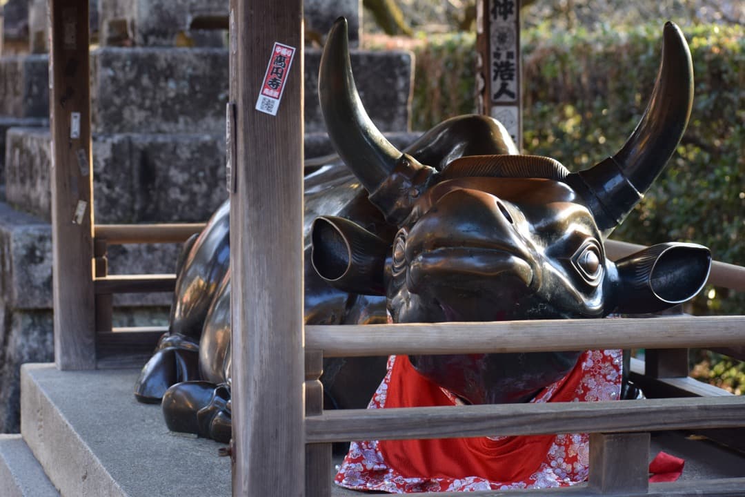 レンズ(ズーム) Nikon AF-P 70-300mm DX VR f:4.5-6.3 G ED