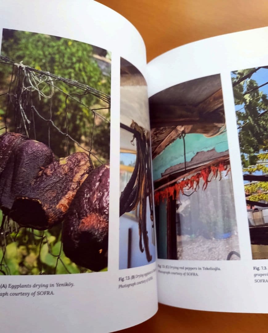 英語 トルコの食の伝統に関する本 Sofra