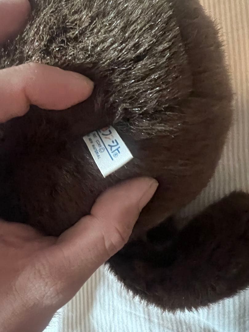 ファースト　タマ吉