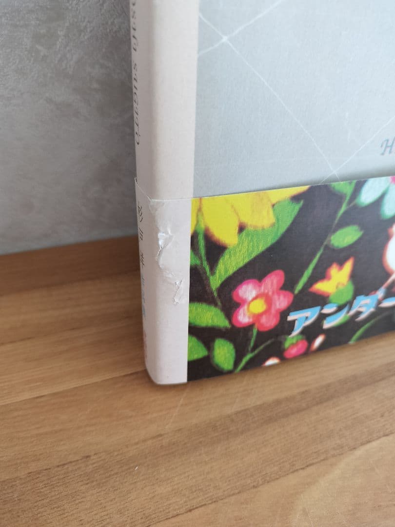 杉戸洋 アート作品集 UNDER THE SHADOW アンダー・ザ・シャドー - メルカリ