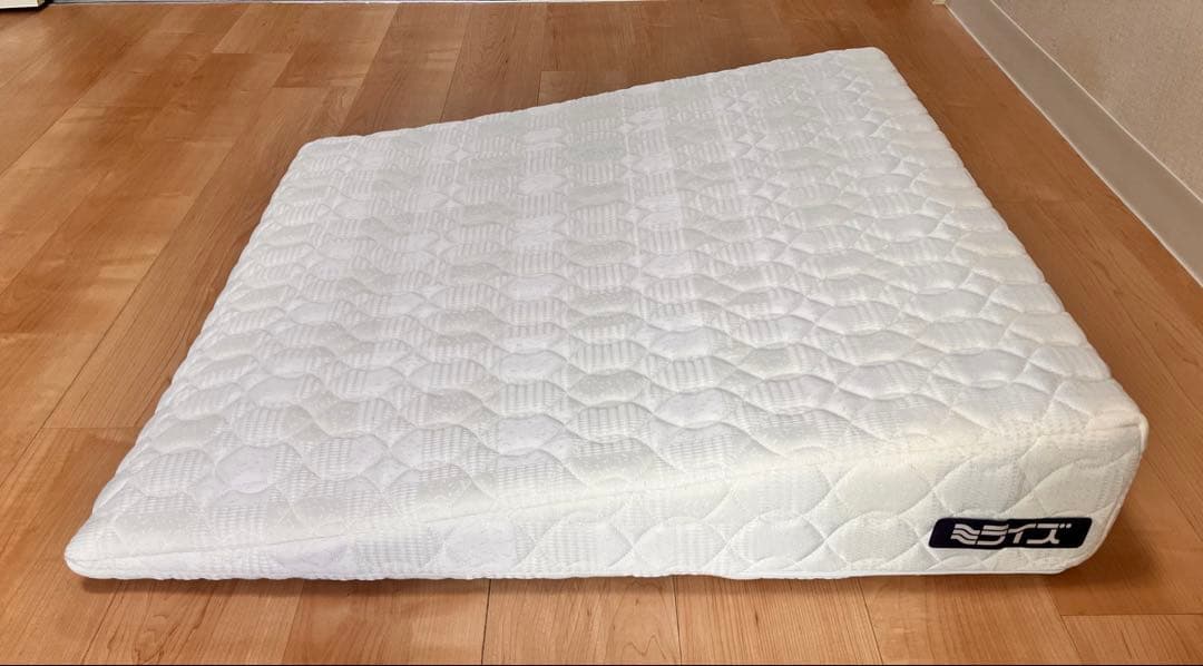 送料込&匿名配送 背上げマット「ラクーイ10度」安心の日本製 傾斜