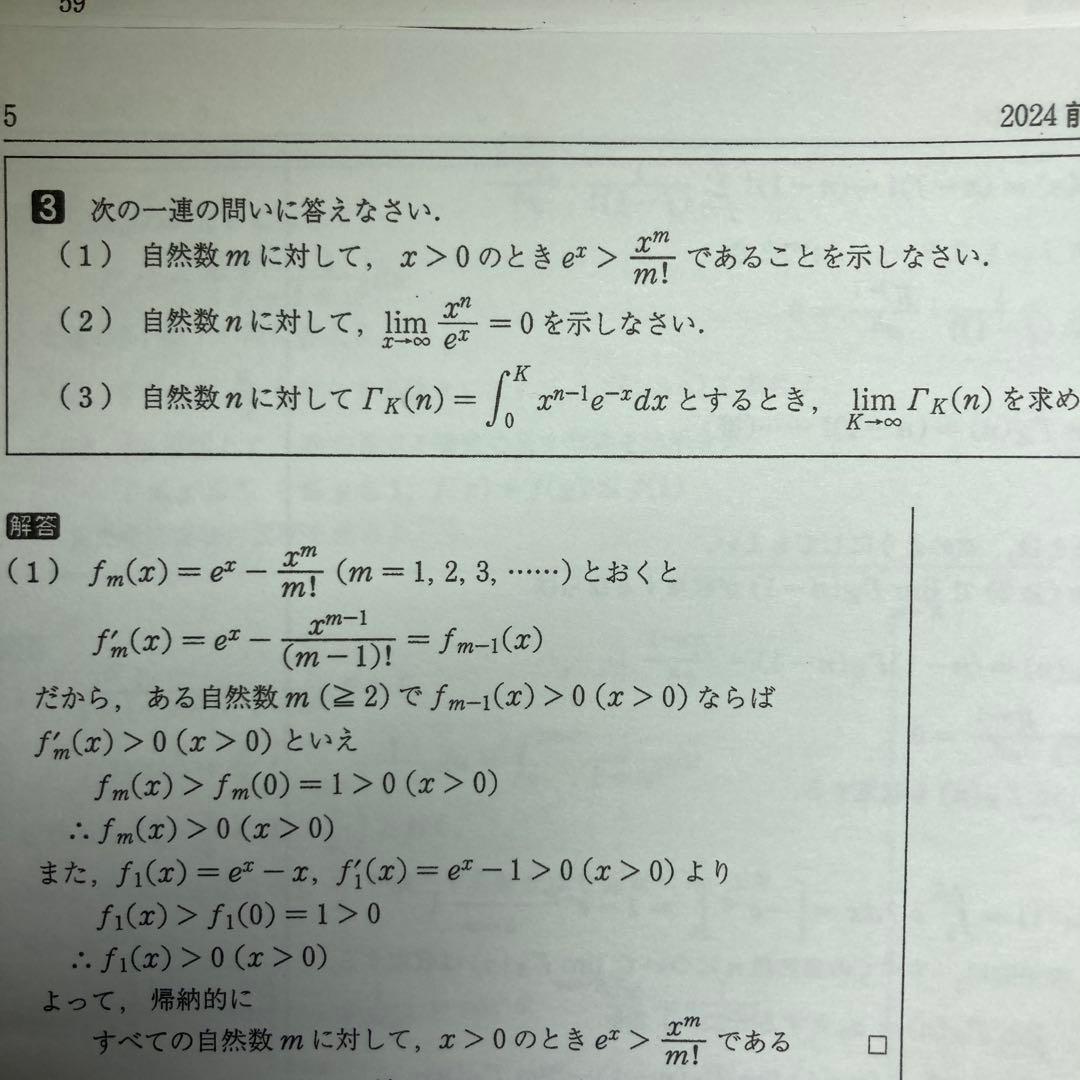 駿台 数学ZX 2024年版 前期 後期 プリント 板書 - メルカリ